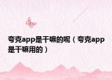 夸克app是干嘛的呢（夸克app是干嘛用的）