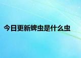 今日更新蜱虫是什么虫