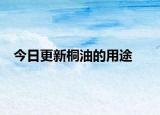 今日更新桐油的用途