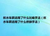 杯水车薪运用了什么比喻手法（杯水车薪运用了什么修辞手法）