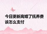 今日更新离婚了抚养费该怎么支付