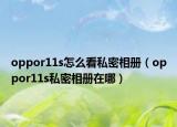 oppor11s怎么看私密相册（oppor11s私密相册在哪）