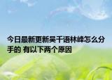 今日最新更新吴千语林峰怎么分手的 有以下两个原因