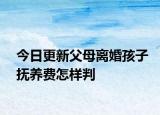 今日更新父母离婚孩子抚养费怎样判