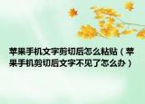 苹果手机文字剪切后怎么粘贴（苹果手机剪切后文字不见了怎么办）