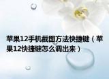 苹果12手机截图方法快捷键（苹果12快捷键怎么调出来）