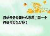 微信号分身是什么意思（同一个微信号怎么分身）