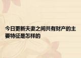 今日更新夫妻之间共有财产的主要特征是怎样的