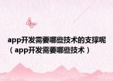 app开发需要哪些技术的支撑呢（app开发需要哪些技术）