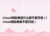 icloud钥匙串是什么要不要开启（icloud钥匙串要不要开启）