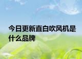 今日更新直白吹风机是什么品牌