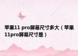 苹果11 pro屏幕尺寸多大（苹果11pro屏幕尺寸是）
