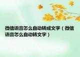 微信语音怎么自动转成文字（微信语音怎么自动转文字）