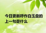 今日更新呼作白玉盘的上一句是什么