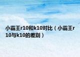 小霸王r10和k10对比（小霸王r10与k10的差别）