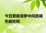 今日更新菠萝中间是褐色能吃吗