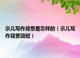 示儿写作背景是怎样的（示儿写作背景简短）
