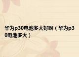 华为p30电池多大好啊（华为p30电池多大）