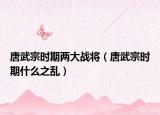 唐武宗时期两大战将（唐武宗时期什么之乱）