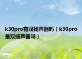 k30pro有双扬声器吗（k30pro是双扬声器吗）
