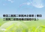 春日二首其二宋晁冲之意思（春日二首其二这首诗通过描绘什么）