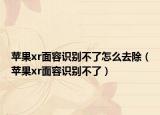 苹果xr面容识别不了怎么去除（苹果xr面容识别不了）