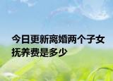 今日更新离婚两个子女抚养费是多少