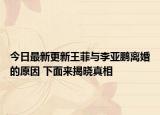今日最新更新王菲与李亚鹏离婚的原因 下面来揭晓真相