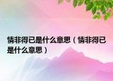 情非得已是什么意思（情非得已是什么意思）