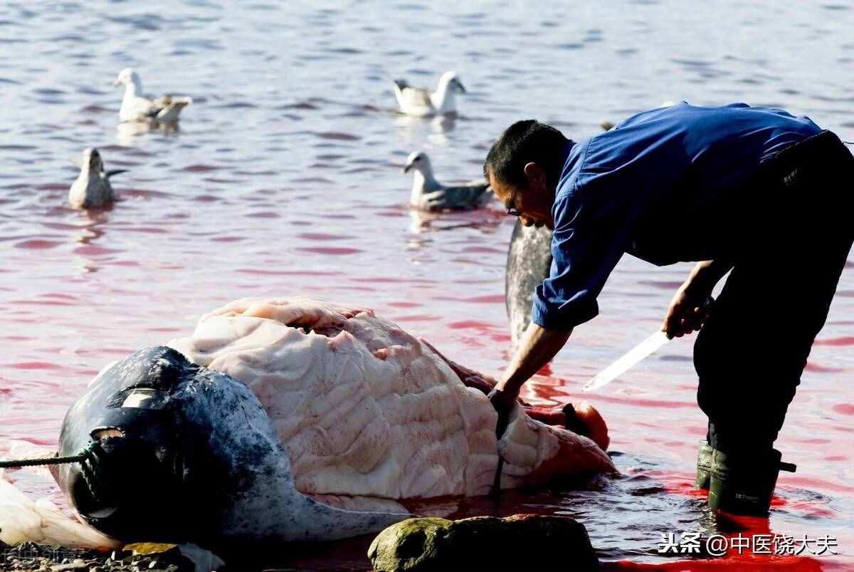 一根蜡烛引发的血案：蜡烛的血腥前世与今生浪漫
