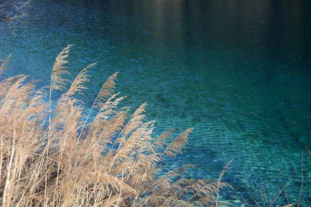 8首秋分诗词：在诗词里，走一趟秋天