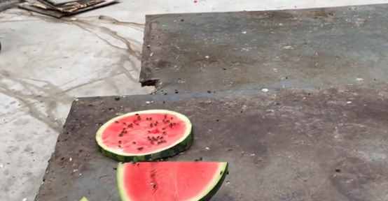 安徽县城大爷卖牛肉汤，一碗40元牛肉分量多，一天能卖一万碗？