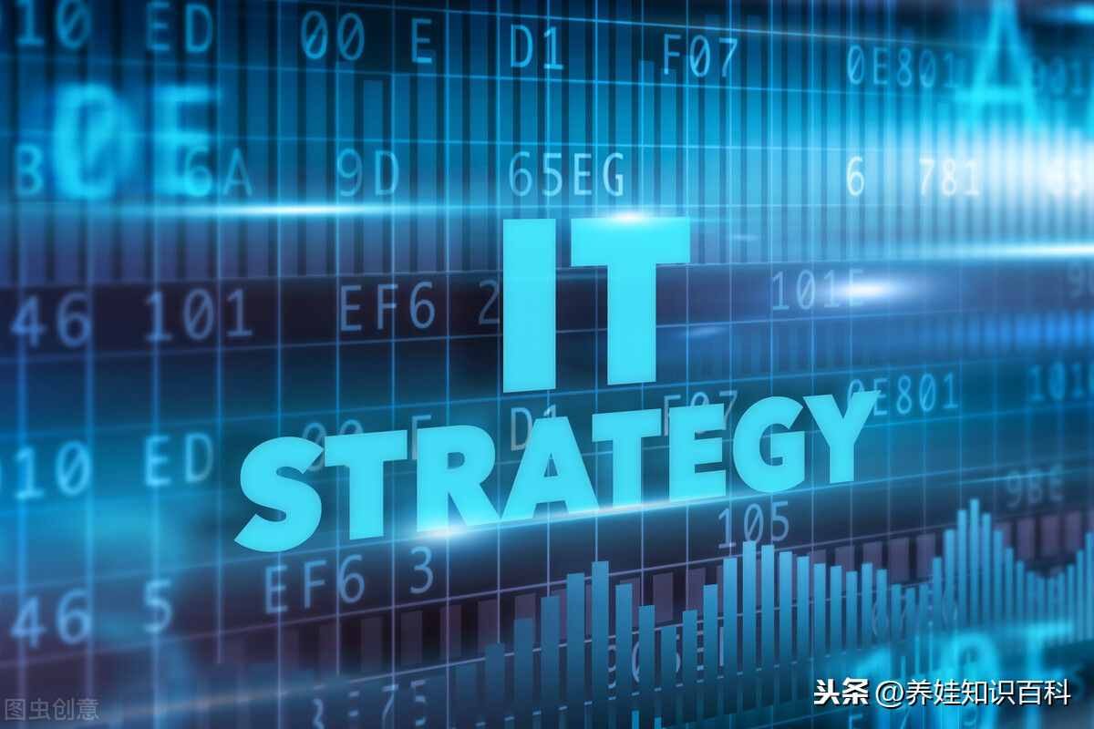 it行业有哪些专业？教育部总结：it专业分两大类型，共计9种