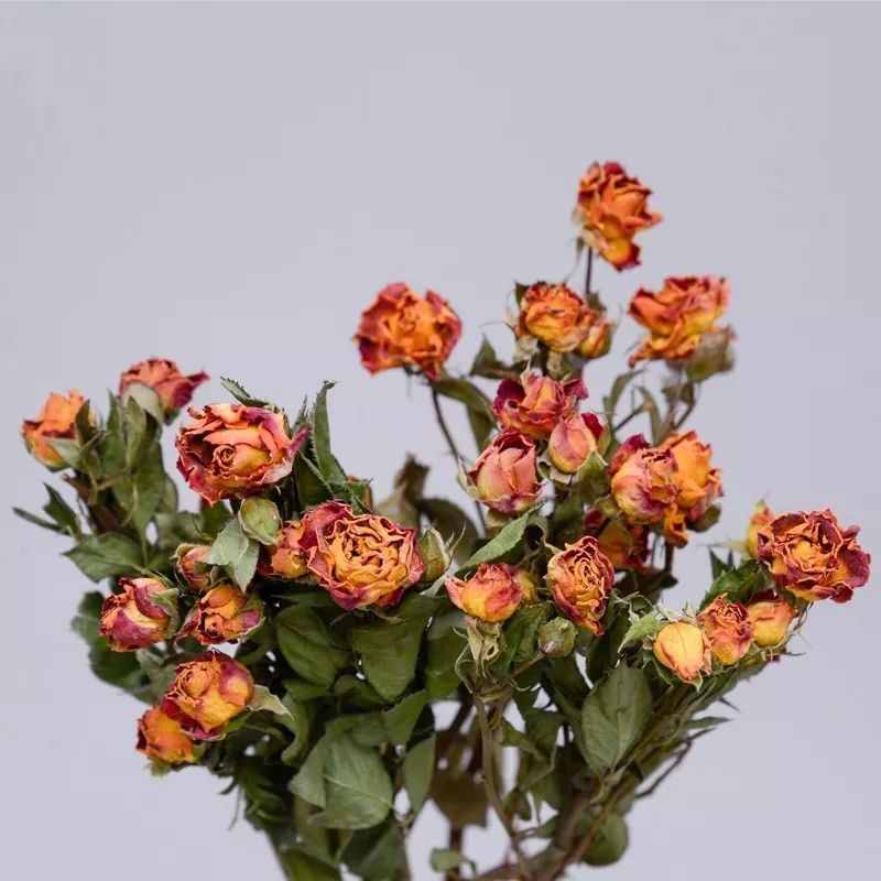 鲜花保鲜时间短？花店保鲜小方法，轻松延长保鲜期