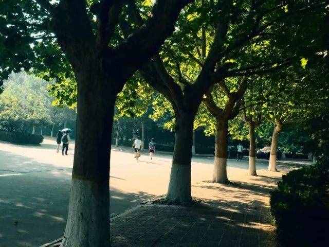 对不起，我要去潍坊了，别再找我……