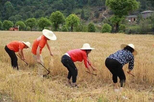 对不起，我要去潍坊了，别再找我……