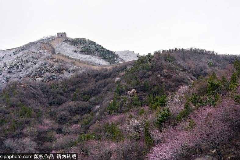 清明假期去哪玩？登京郊这6处长城赏漫山春花，与悠久历史对话！