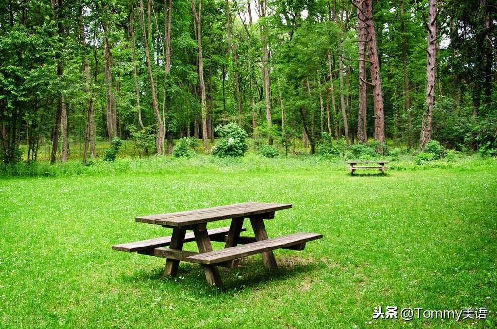 每天记一个单词（第3512）flat