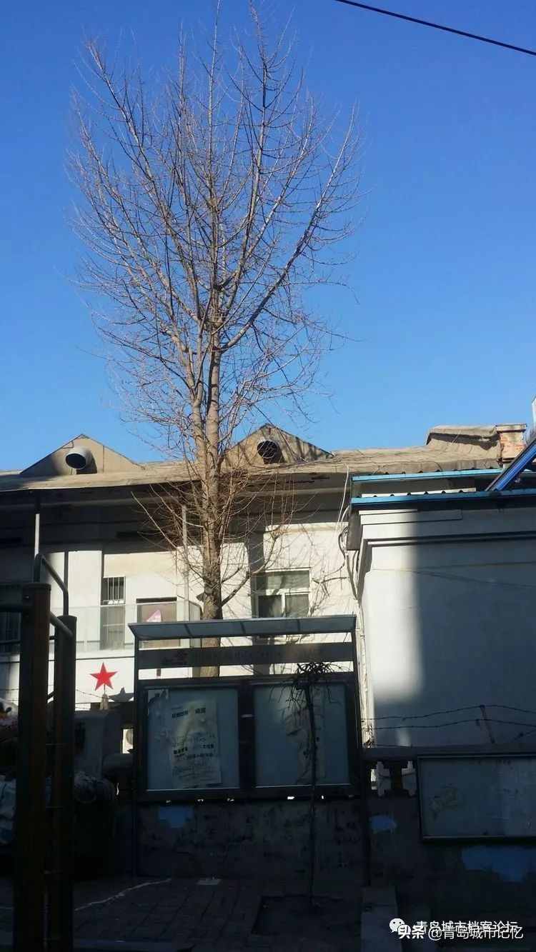 旧影里的大光明电影院，老台东难忘的记忆