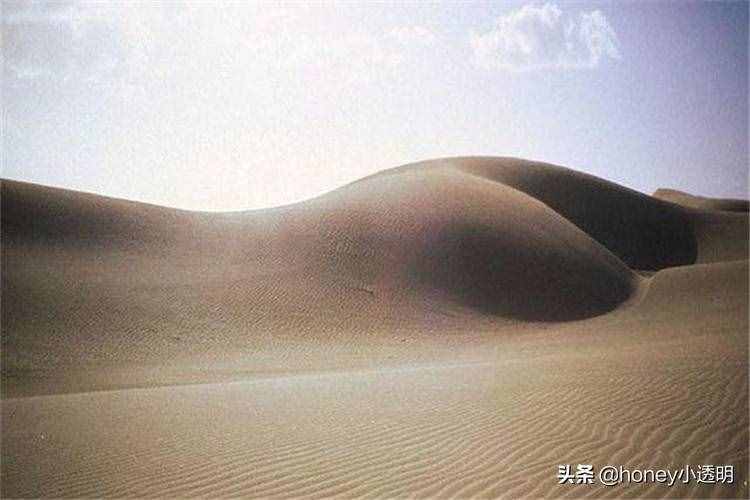 “女生们凭什么要拿自己青春跟你一起奋斗”专家：青春经不起挥霍
