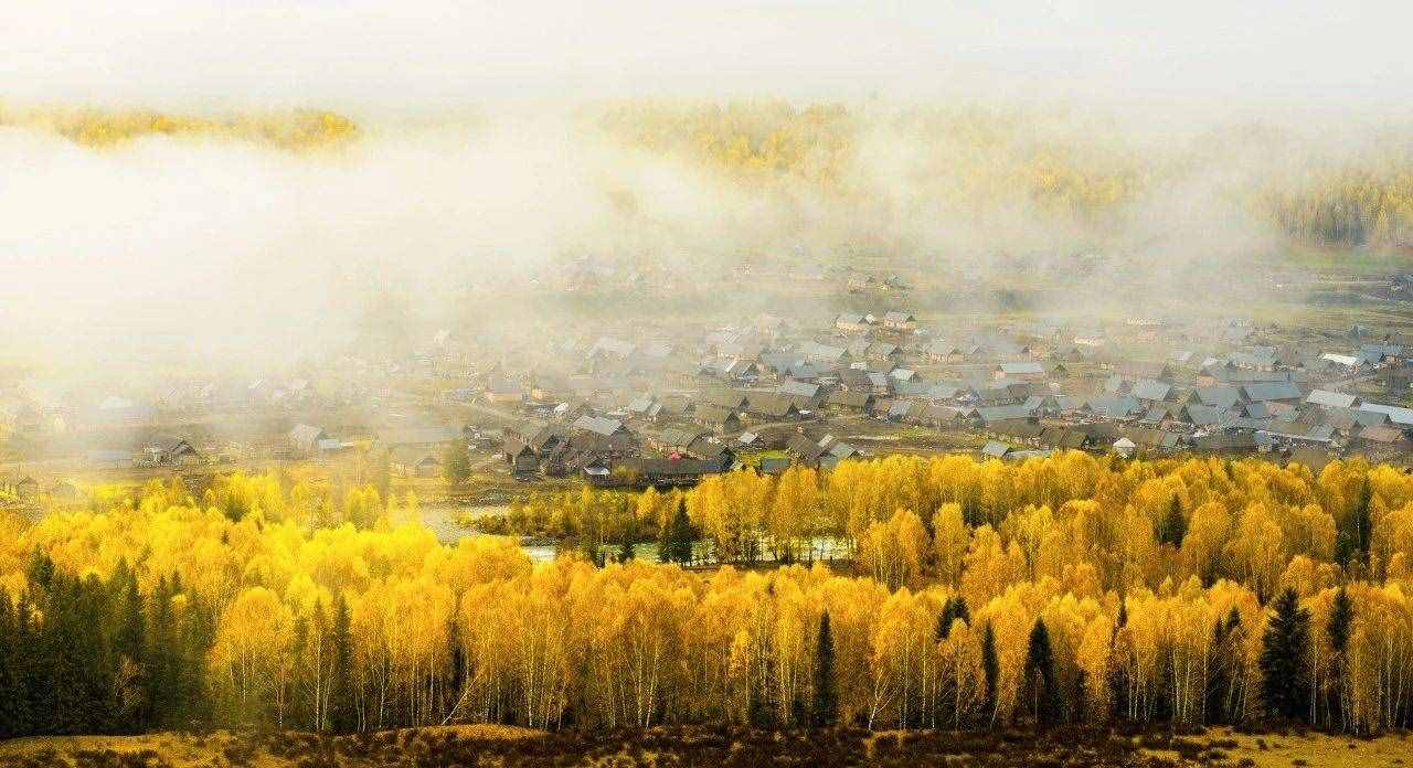 名家笔下的秋天，迷了眼，醉了心！学着如何写秋天