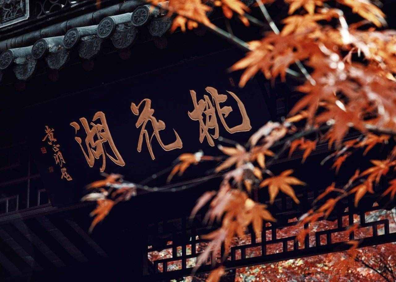 名家笔下的秋天，迷了眼，醉了心！学着如何写秋天