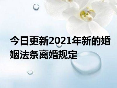 2021年离婚法最新规定图片