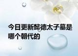 今日更新懿德太子墓是哪个朝代的