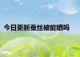 今日更新蚕丝被能晒吗