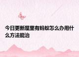 今日更新屋里有蚂蚁怎么办用什么方法能治