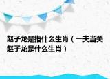 赵子龙是指什么生肖（一夫当关赵子龙是什么生肖）