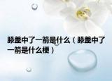 膝盖中了一箭是什么（膝盖中了一箭是什么梗）