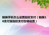 魅族手机怎么设置指纹支付（魅族16支付宝指纹支付在哪设置）