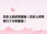 历史上的武帝是谁（历史上武帝有几个分别是谁）